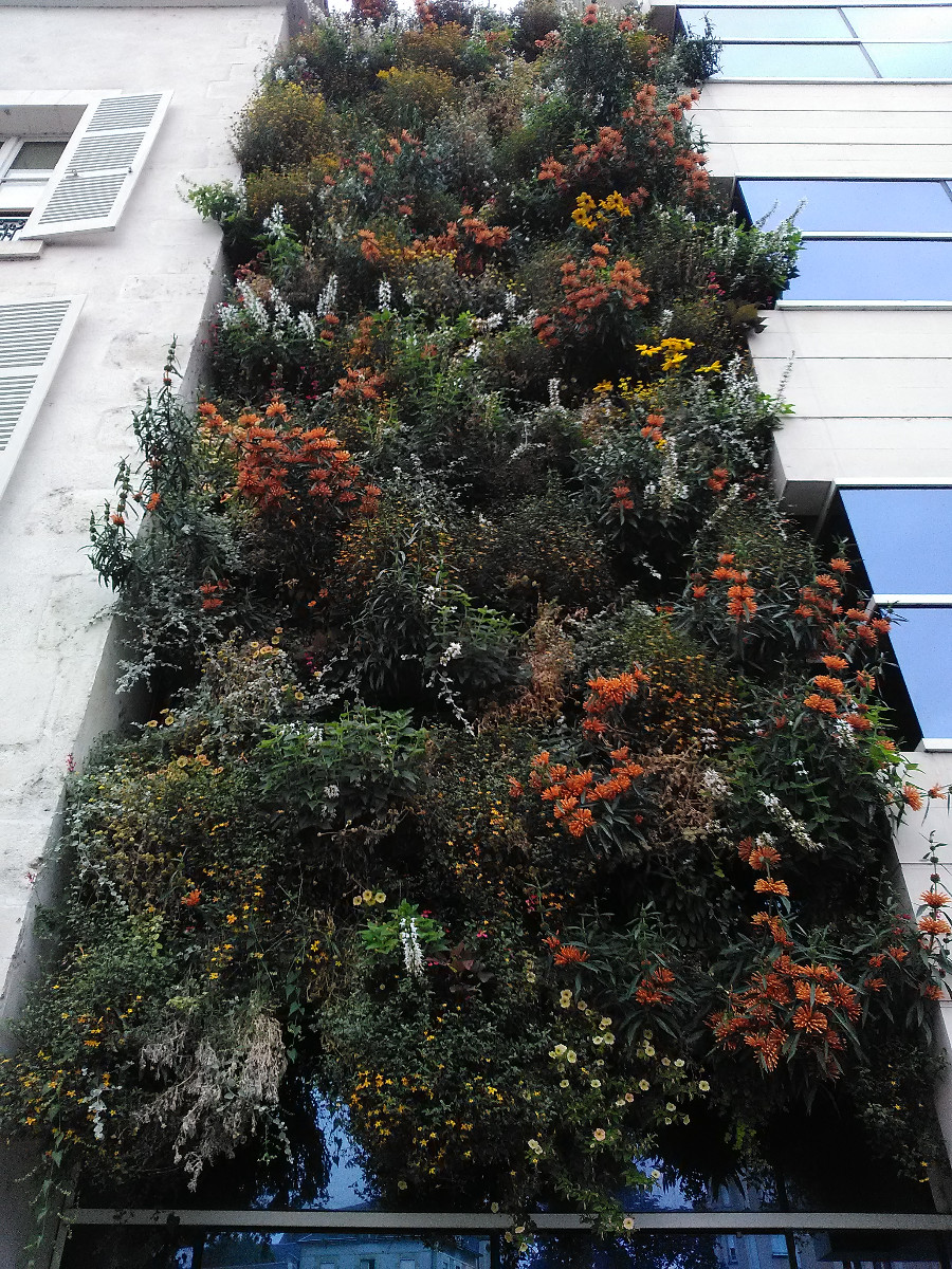 Mur végétal fleuri sur 12 niveaux de plantation. HARMONIE MUTUELLE à Orléans. – Travaux réalisés